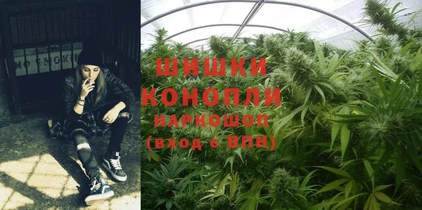 гидропоника Балахна