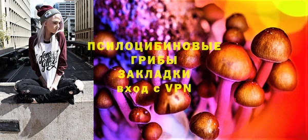 spice Баксан