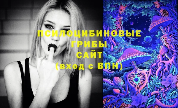 гидропоника Балахна