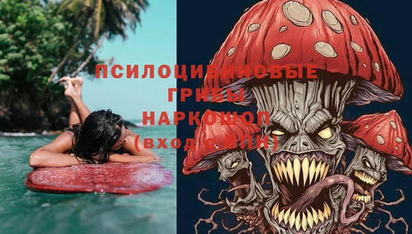 spice Баксан
