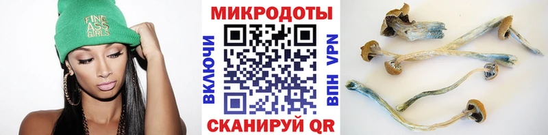 купить закладку  Мамадыш  Галлюциногенные грибы GOLDEN TEACHER 